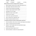 Soal Uts Pkn Kelas 3 Semester 1 Kurikulum 2013 Dalchaebi