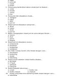 Soal Fiqih Kelas 3 PDF