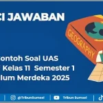 25 Contoh Soal UAS Geografi Kelas 11 Semester 1 dan Kunci Jawaban
