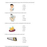 15 Soal Program Khusus Progsus Tunagrahita SMALB Bergambar