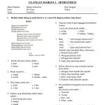 Soal Uas Bahasa Indonesia Kelas 3 Semester 1 Dalchaebi