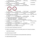 Latihan Soal Tema 6 Kelas 3 SD PDF