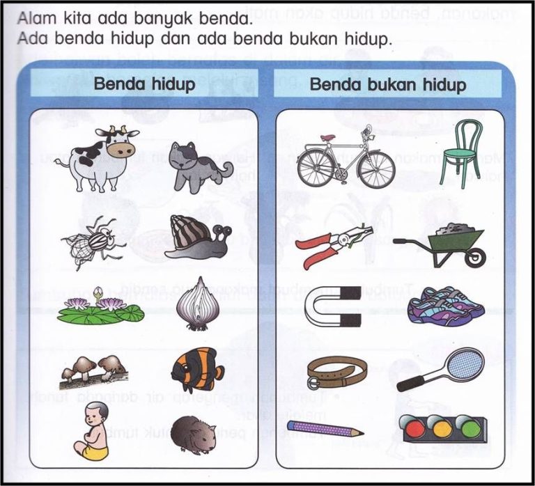 Contoh Soal Benda Benda Sekitar Kelas 2 Ternyata Sering Muncul di STS IPA SMP, Ini Bocoran Pola Soalnya