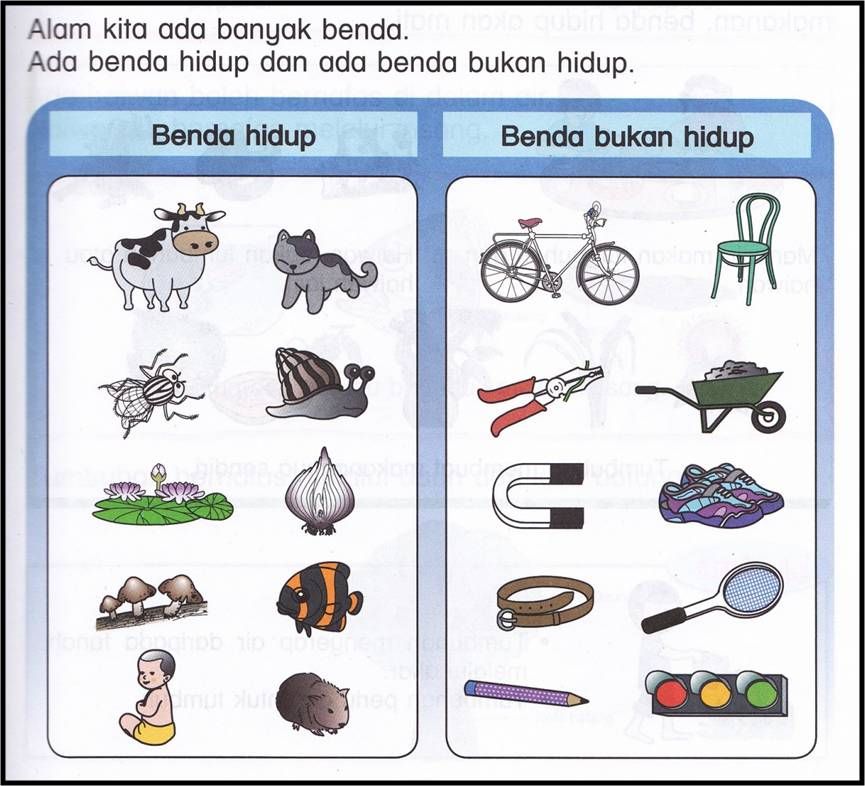 Contoh Soal Benda Benda Sekitar Kelas 2 Ternyata Sering Muncul di STS IPA SMP, Ini Bocoran Pola Soalnya