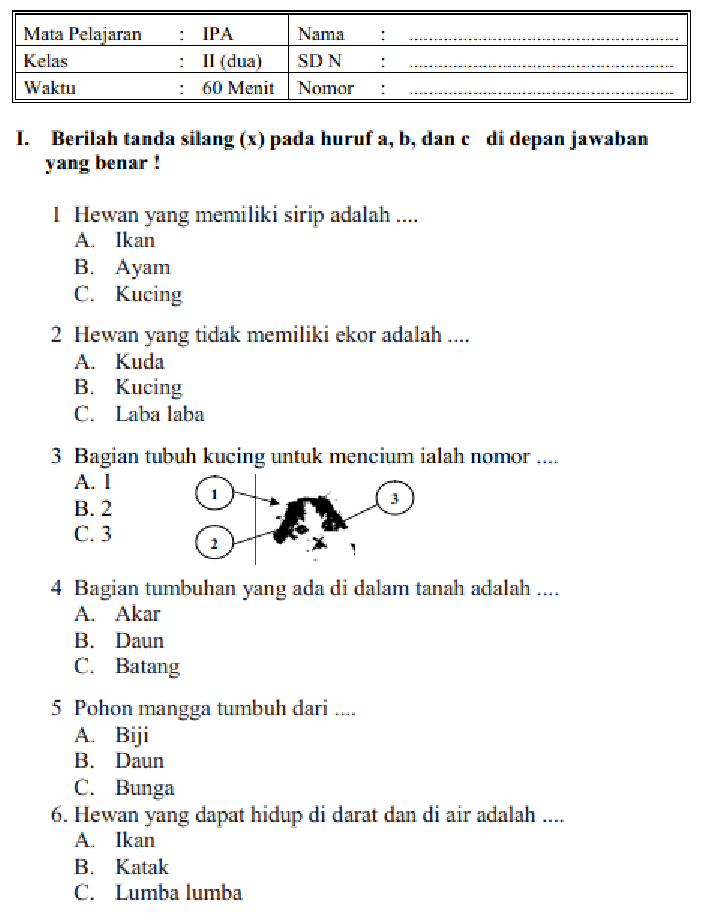 Rahasia Jeff Bezos Minta Pajak Dihapus, Ternyata Ini Kaitannya dengan Contoh Soal Benar Salah di Kelas 2 SD